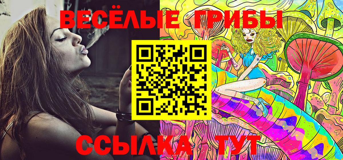 купить наркотики цена  Псилоцибиновые грибы Psilocybe  Вход с VPN  Советск 